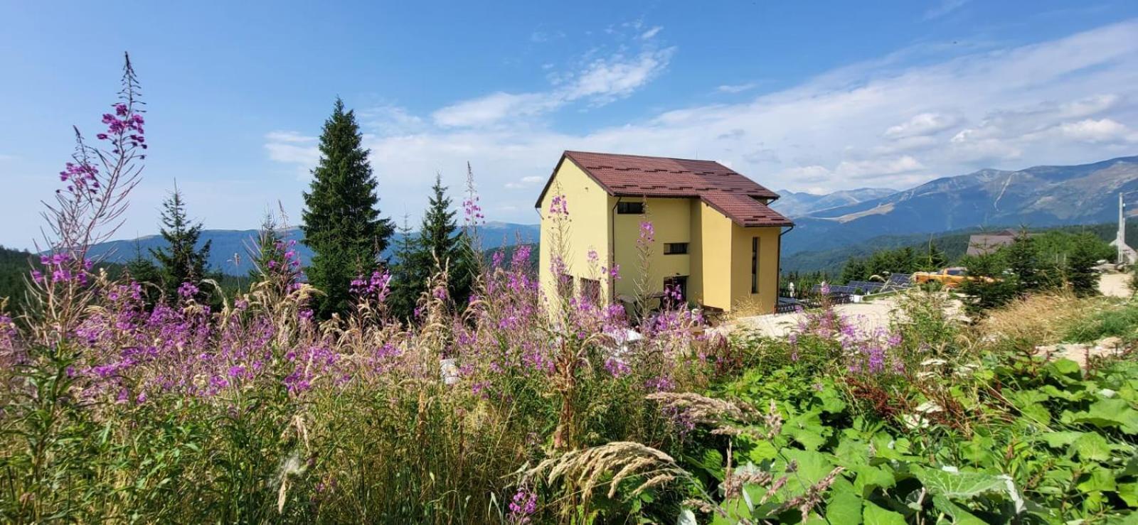 Pension Valea Mariei Ranca Buitenkant foto