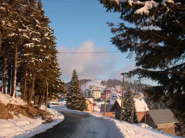 Pension Valea Mariei Ranca Buitenkant foto